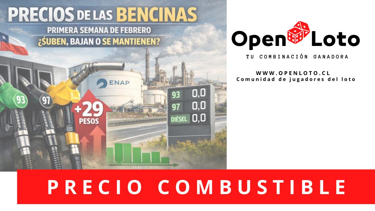 Enap informa precios de los combustibles para la primera semana de febrero: revisa las variaciones