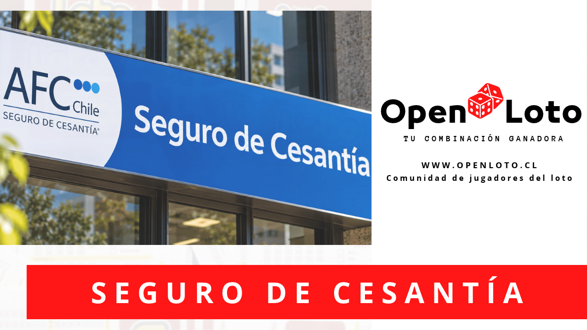 Fondo de Cesantía Solidario: requisitos y cómo solicitarlo en 2026